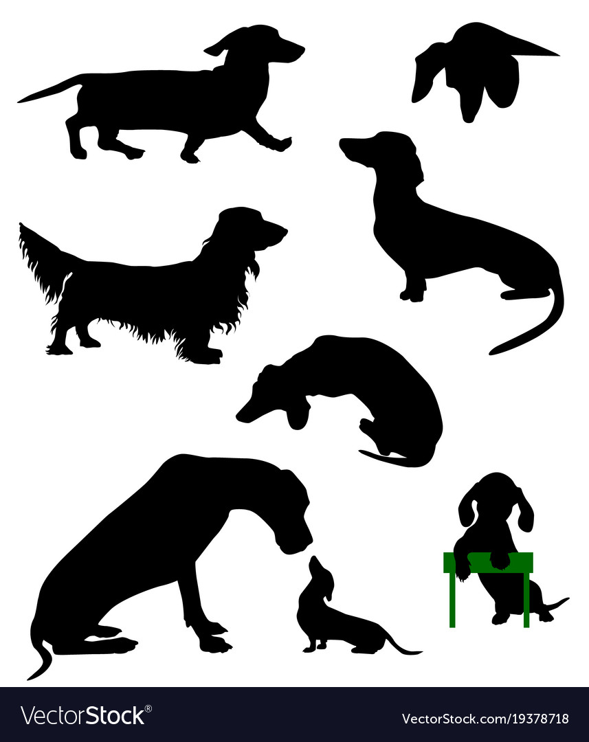 Dachshund-3 Royalty Free Vector Image - VectorStock