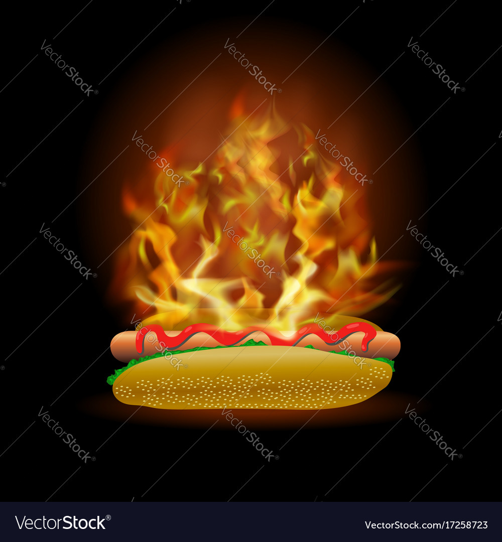 Burning fresh hot dog with ketchup