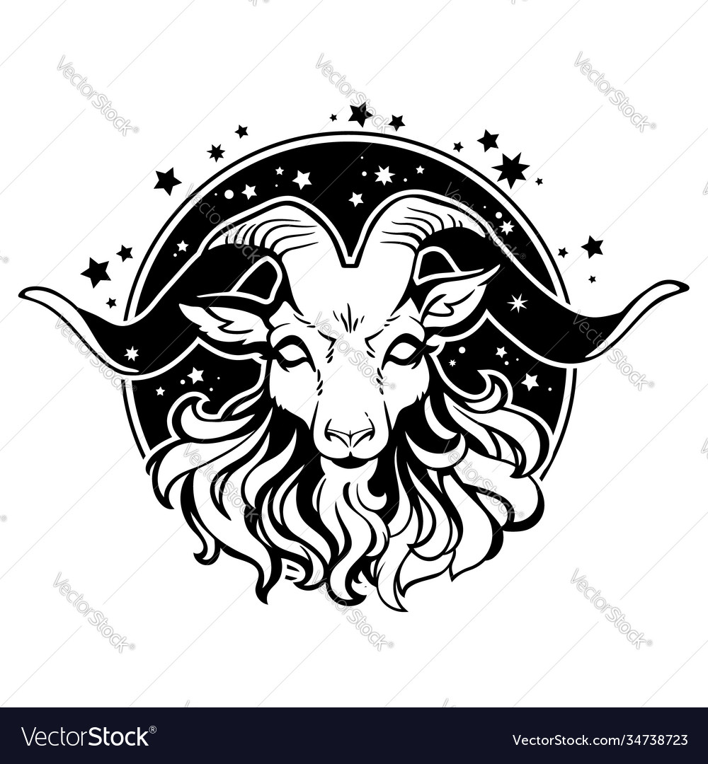 Cartoon black head goat Royalty Free Vector Image Cartoon black head goat Royalty Free Vector Image