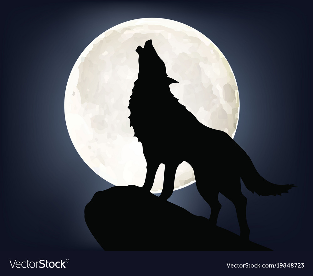 Wolf Royalty Free Vector Image - VectorStock