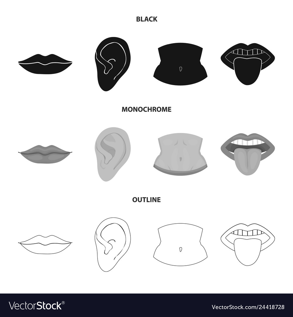 Design of body and part symbol collection vector image Design of body and part symbol collection