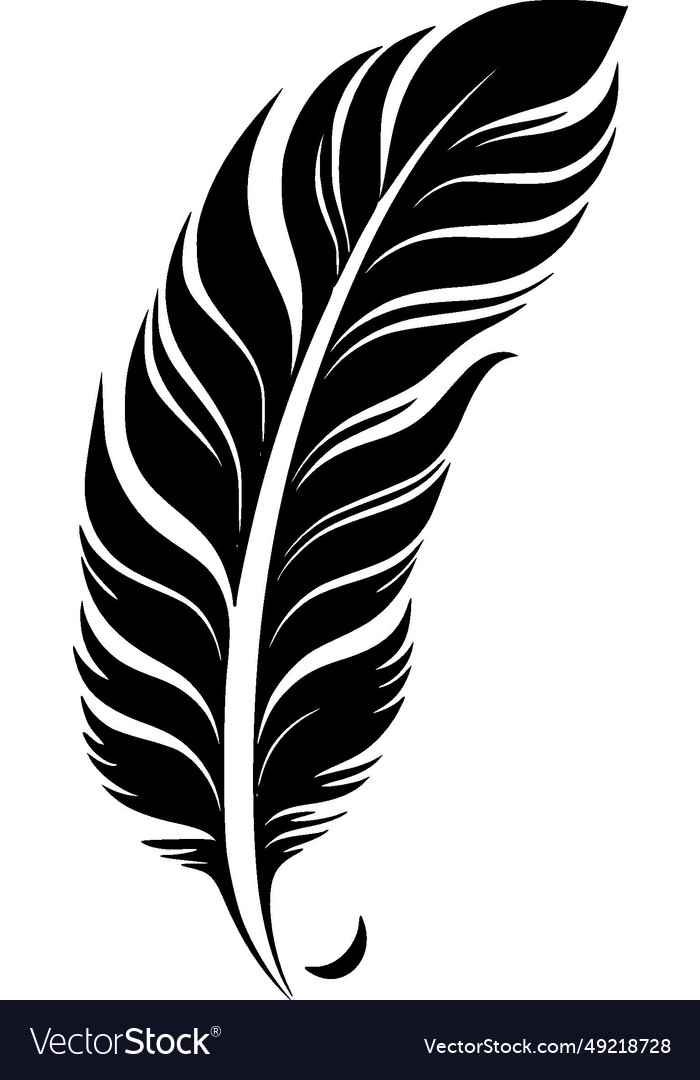 Feather - black and white