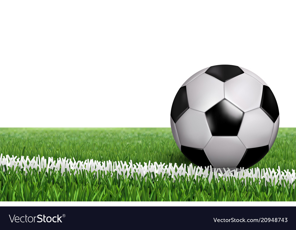 Ball on line in field vector image Ball on line in field
