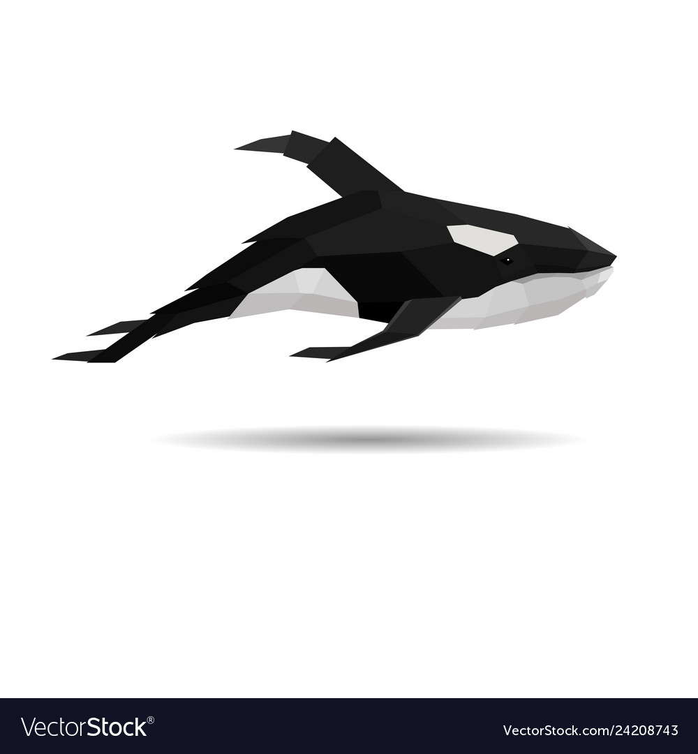 Creative orca design in low poly style Royalty Free Vector