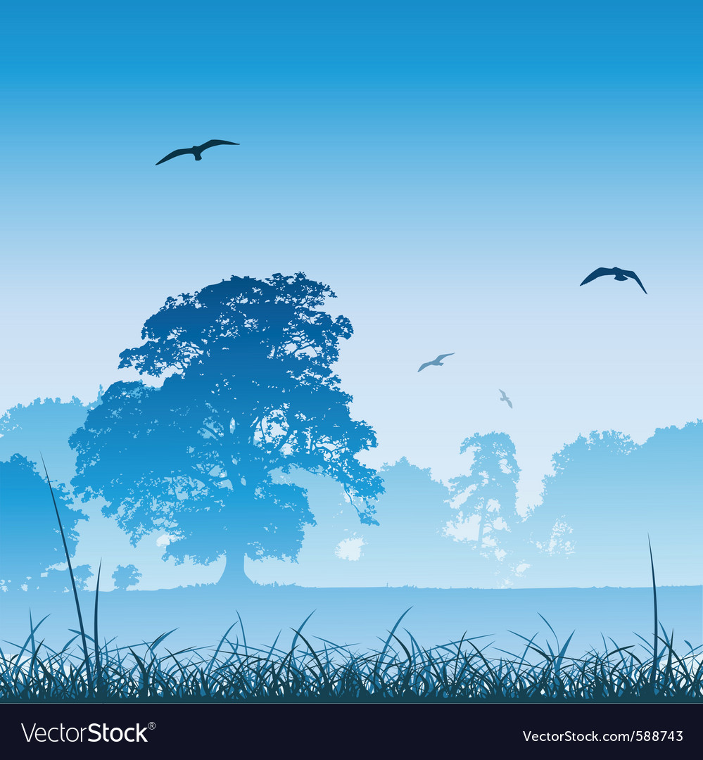 Serene Meadow Landscape
