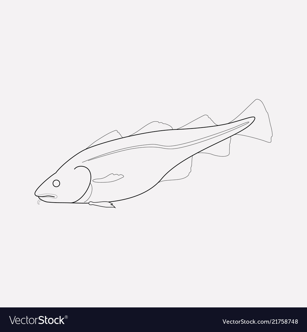 Cod icon line element of vector image Cod icon line element of