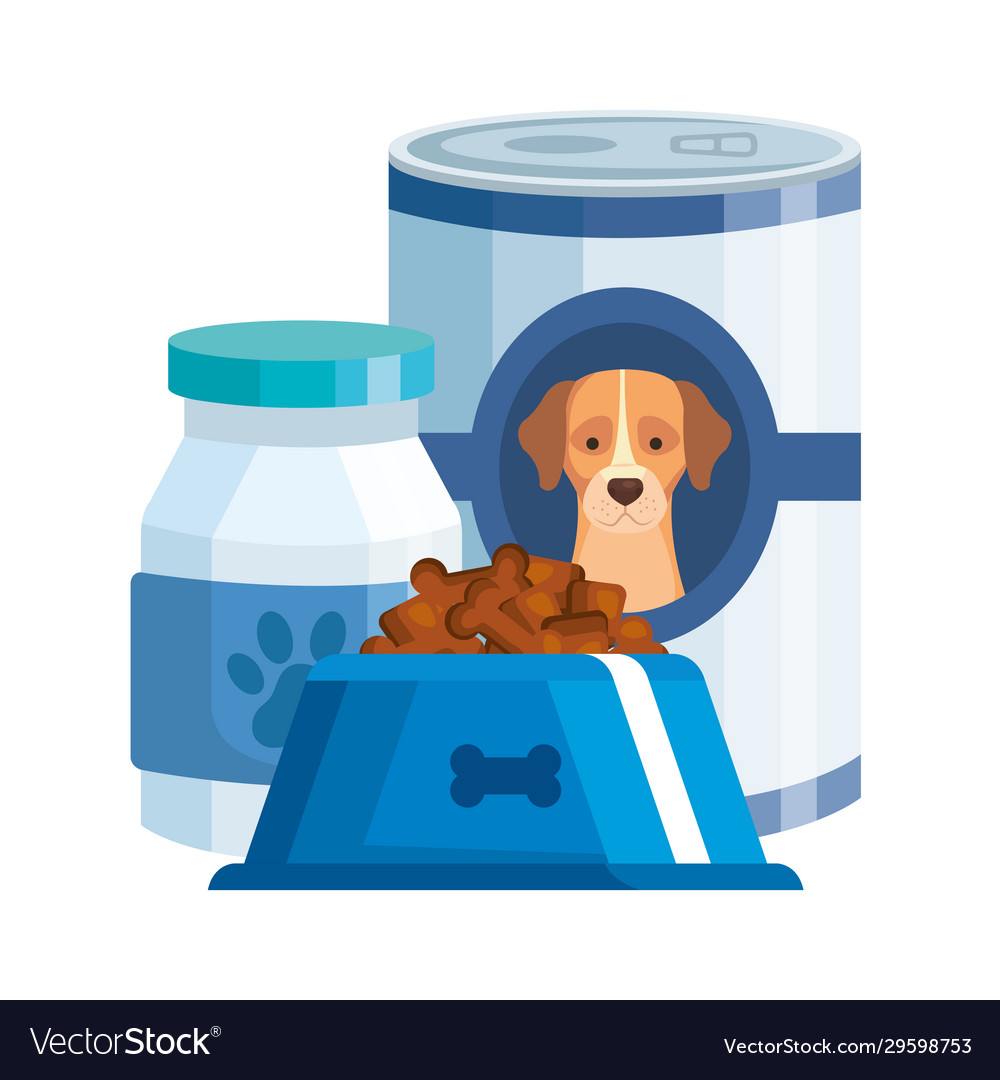 Foods and bottle medicine for dog isolated icon Vector Image Foods and bottle medicine for dog isolated icon Vector Image