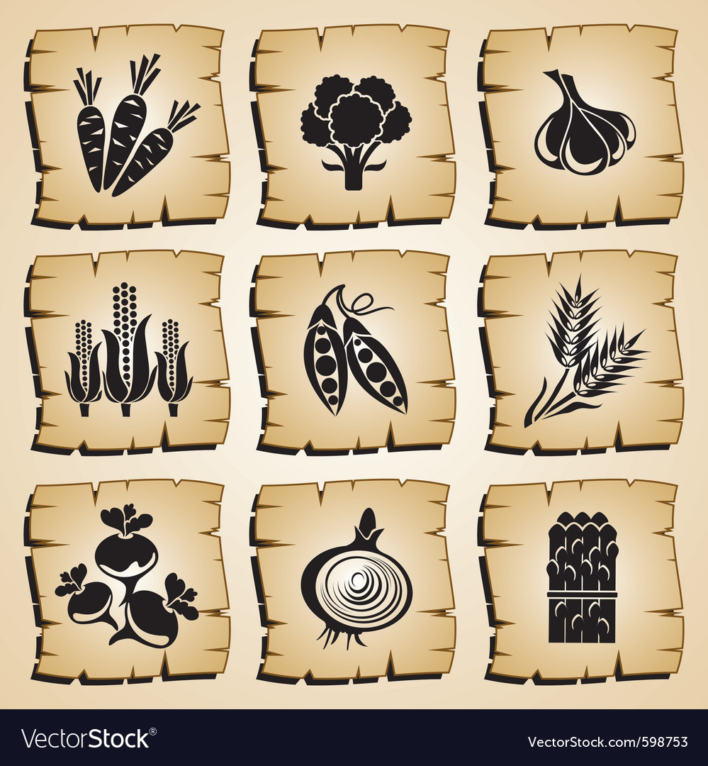 Fresh Vegetable Icons