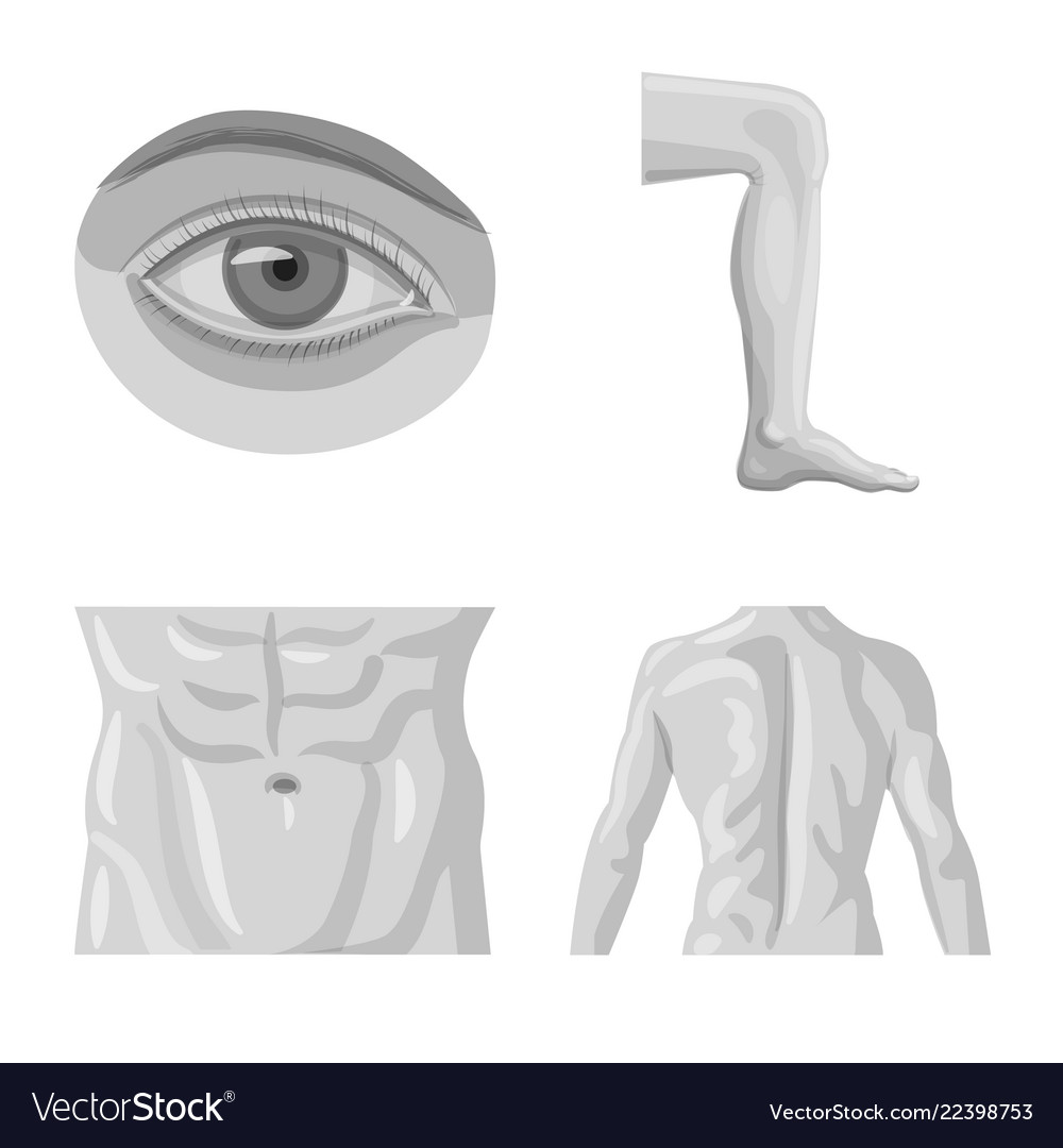 Isolated object of human and part icon collection vector image Isolated object of human and part icon collection