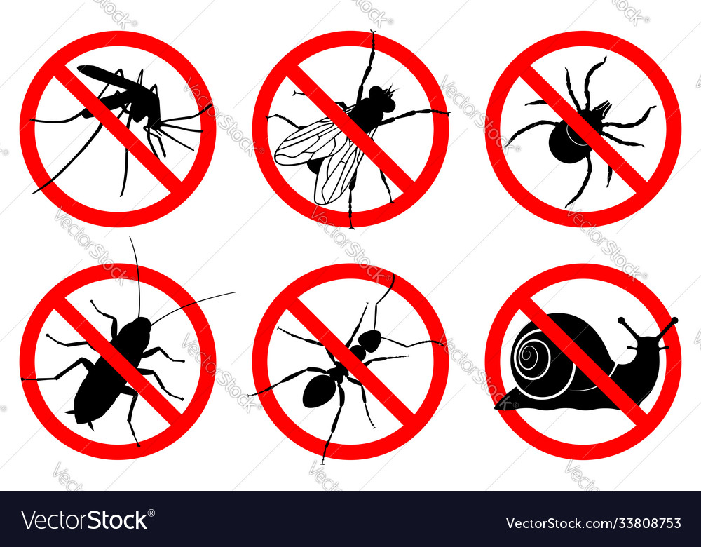 No pests Royalty Free Vector Image - VectorStock