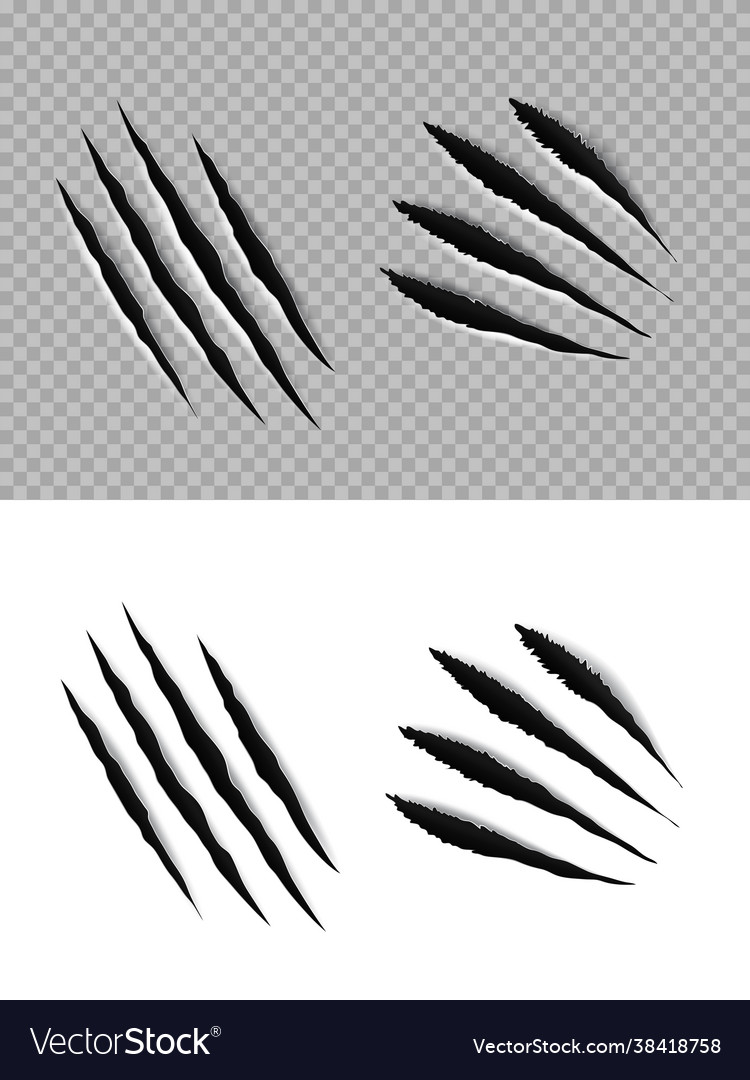 Claw marks and scratches animal paws talons Vector Image