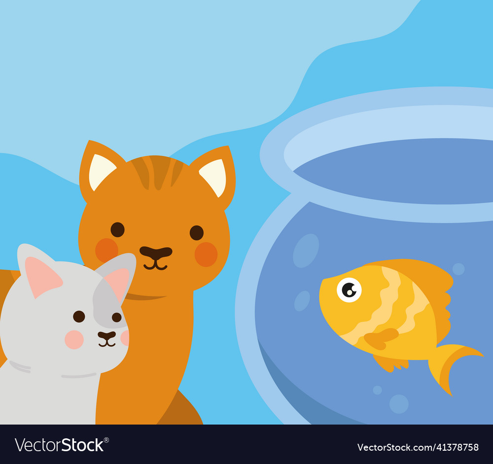 Pets cats and fish