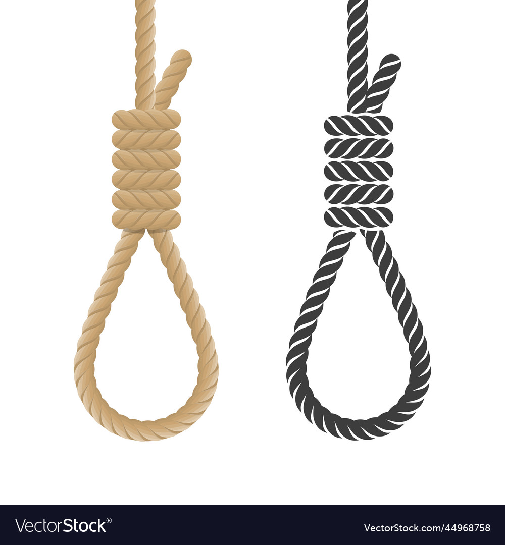 Rope hanging loop vector image Rope hanging loop