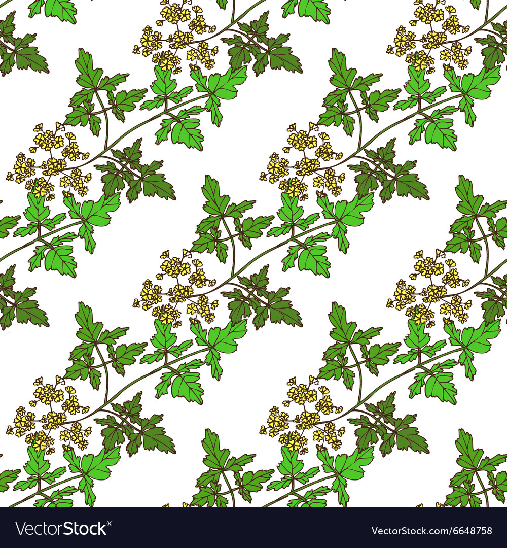 Seamless pattern