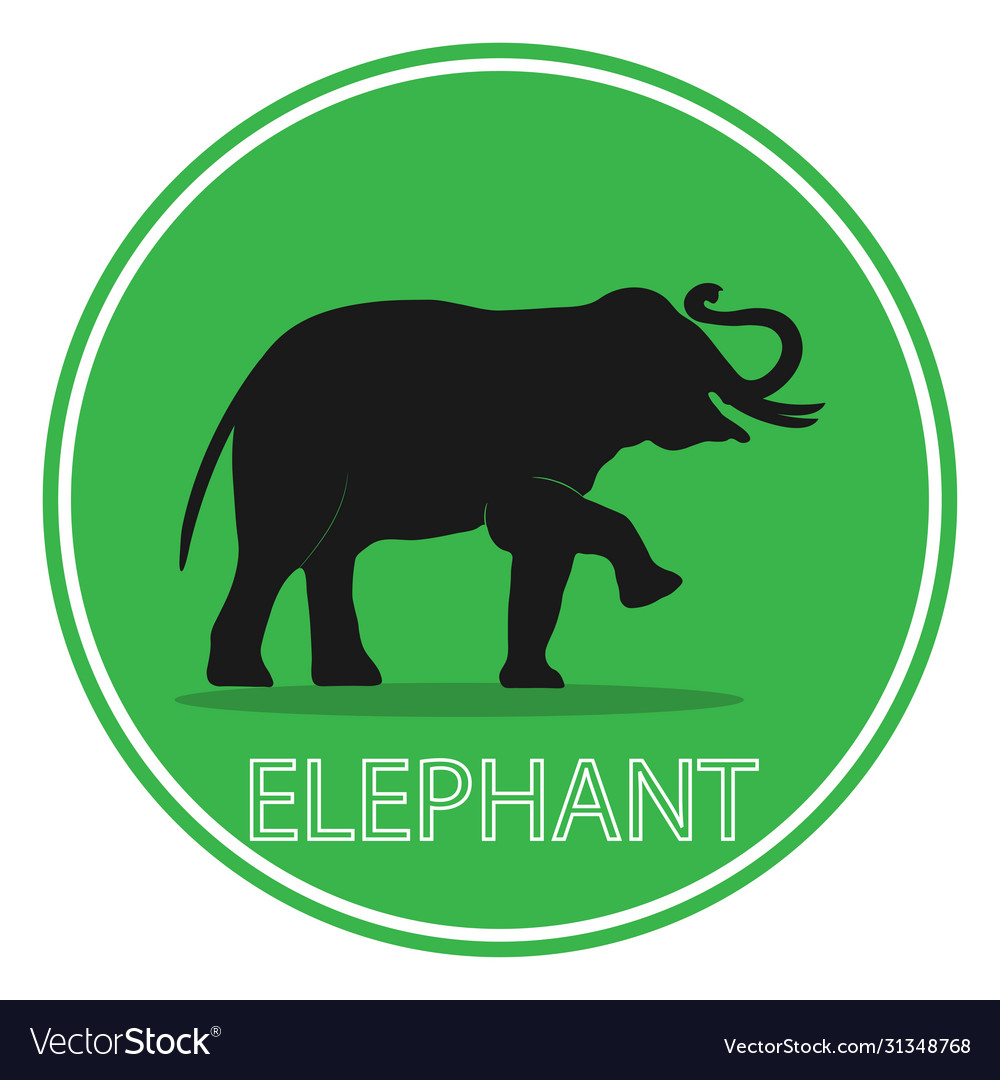 Elephant asia walking graphics design for logo Vector Image