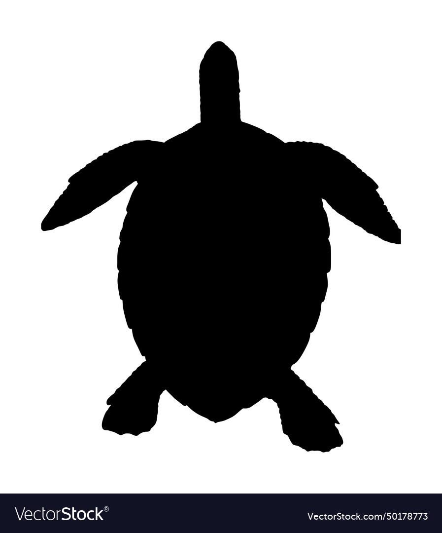 Sea turtle silhouette isolated Royalty Free Vector Image