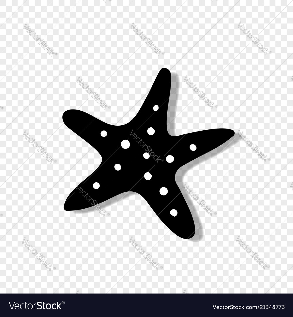 Starfish icon isolated on transparent background