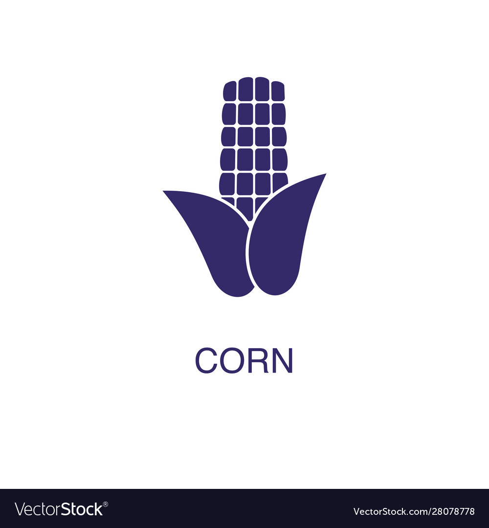 Corn element in flat simple style on white