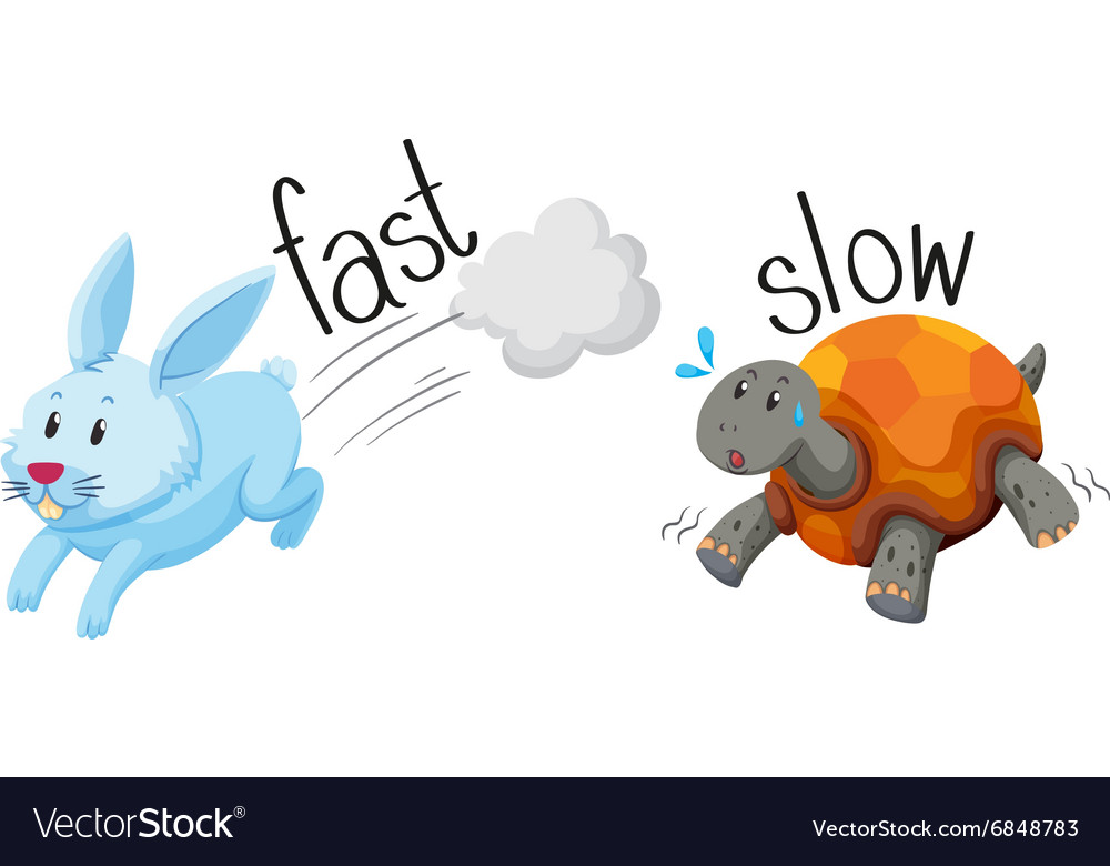 Images Of Slow Turtle Cartoon