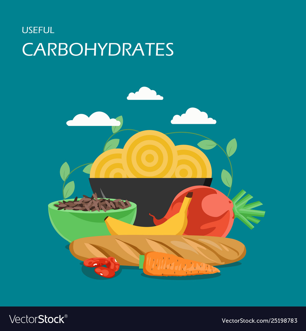 Useful carbohydrates flat style design Royalty Free Vector