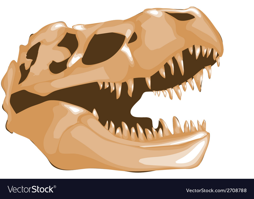 Dinosaur Bones Royalty Free Vector Image Vectorstock