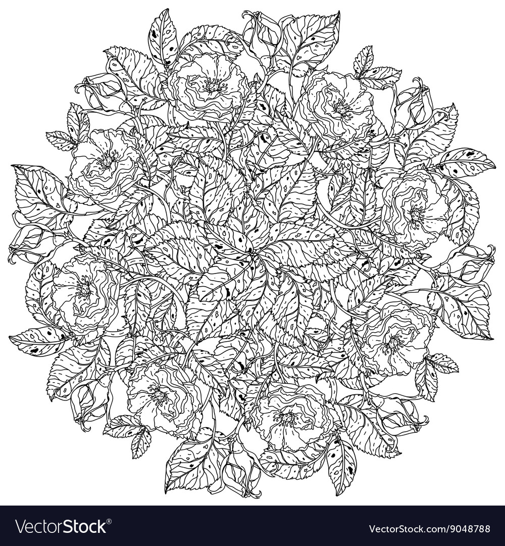 Colouring this life. Арт-терапия. Раскраски антистресс натюрморт.