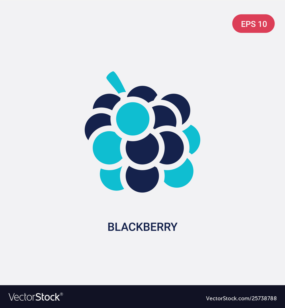 Two color blackberry icon from fruits Royalty Free Vector