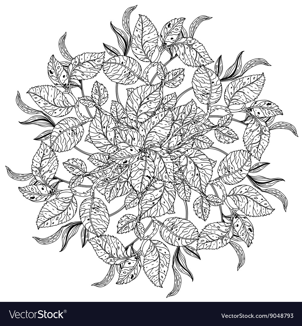 Colouring this life. Раскраски для взрослых натюрморт. Раскраска антистресс листья. Шефлера раскраска для взрослых. Раскраска за столом со взрослыми.