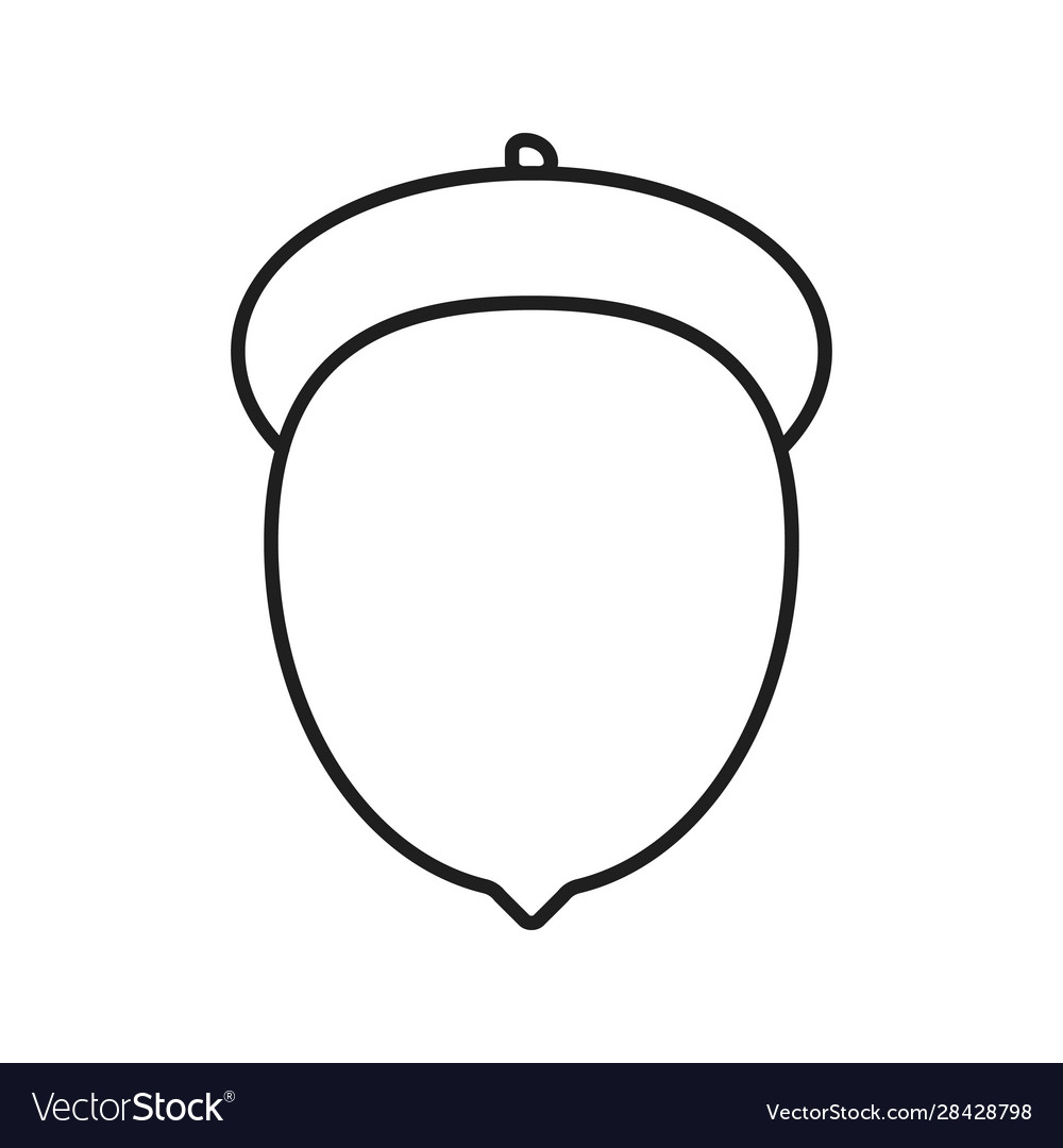 Acorn linear icon