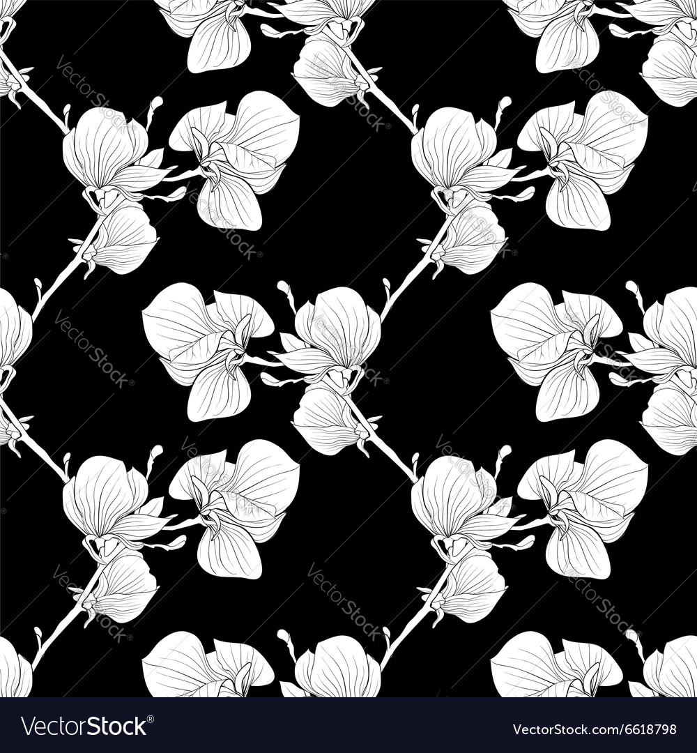 Magnolia Branch Seamless Pattern