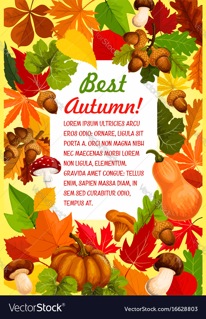 Autumn leaf and pumpkin banner for fall season Vector Image