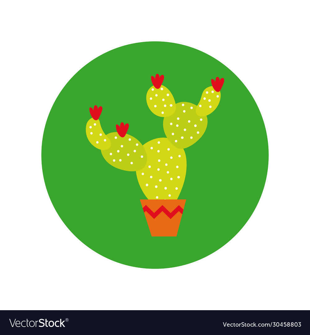 Cactus plant mexican culture block and flat style Vector Image