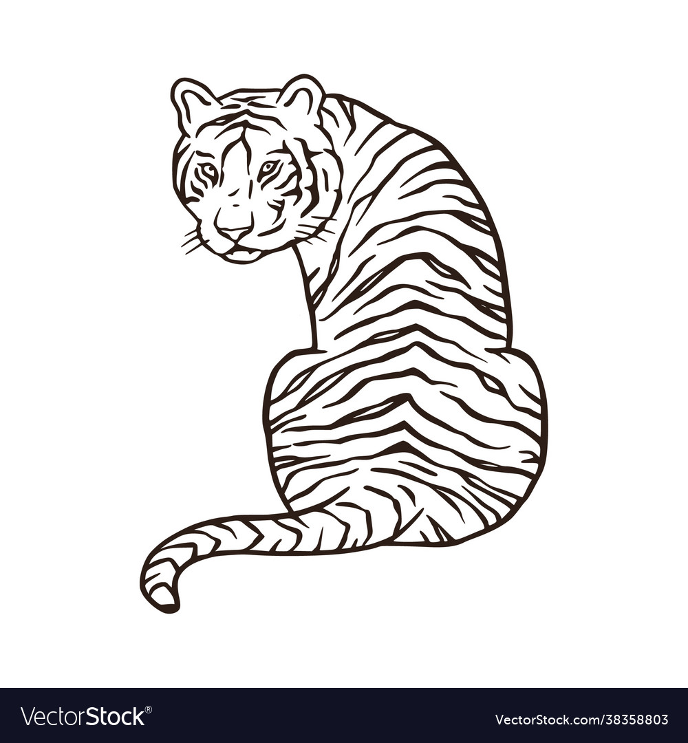 Wild bengal tiger nature mammal cartoon animal Vector Image