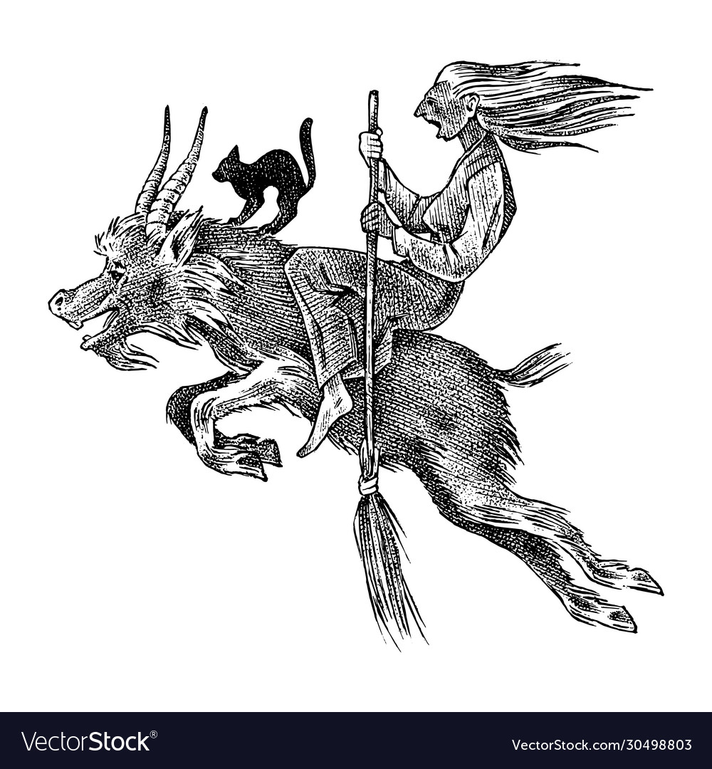 Witch flies with a broom and goat ancient Vector Image