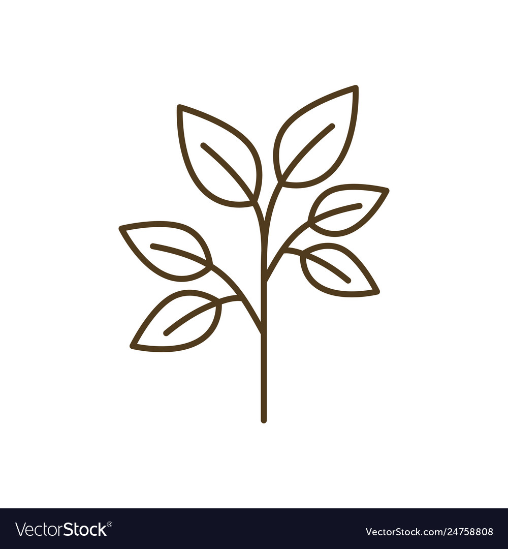 Tree branch with leaves isolated icon