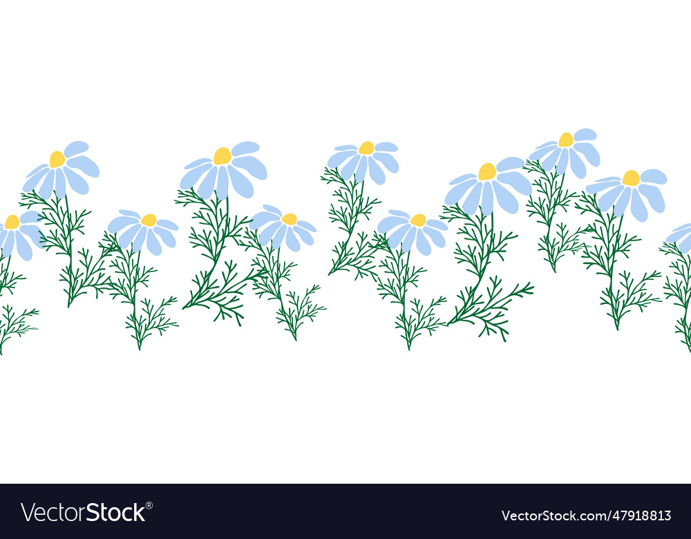 Chamomile horizontal border seamless pattern Vector Image Chamomile horizontal border seamless pattern