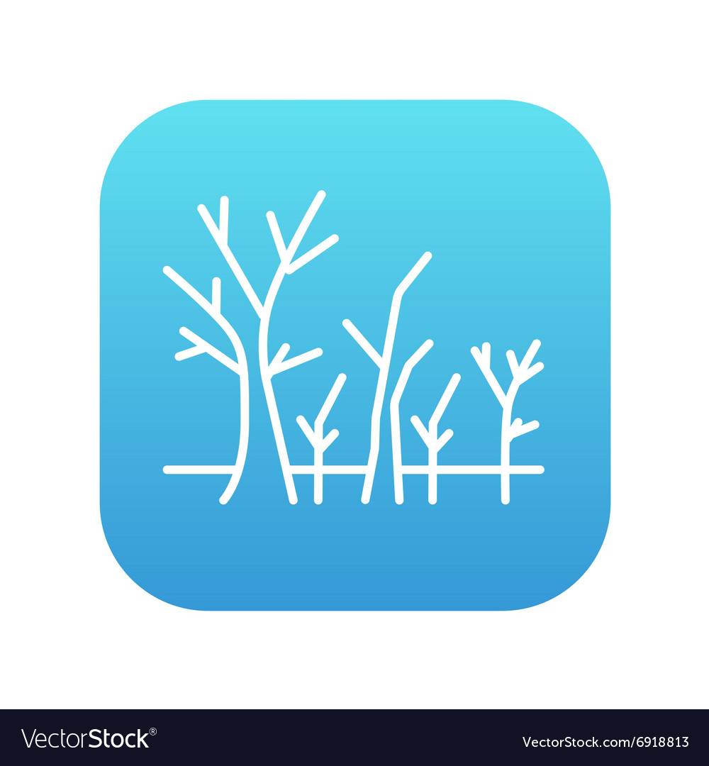 Tree with bare branches line icon