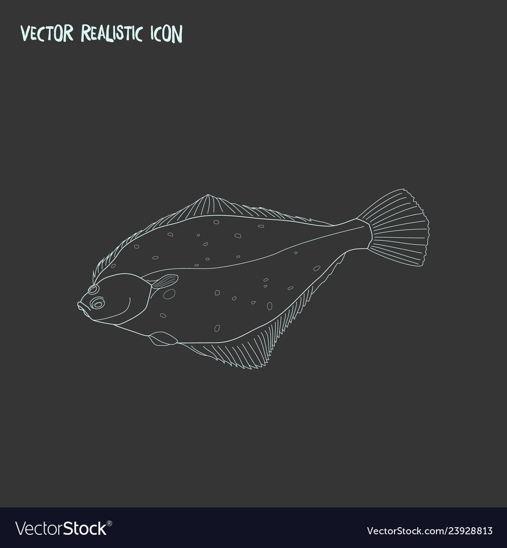 Turbot icon line element
