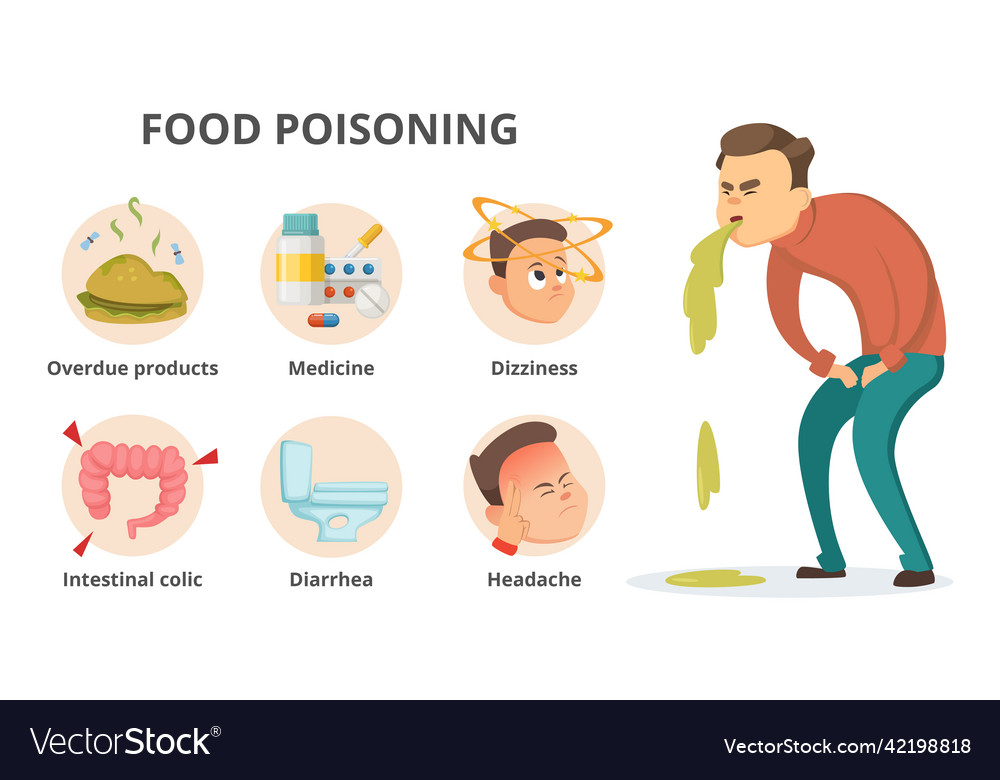 Different symptoms of food poisoning infographic Vector Image