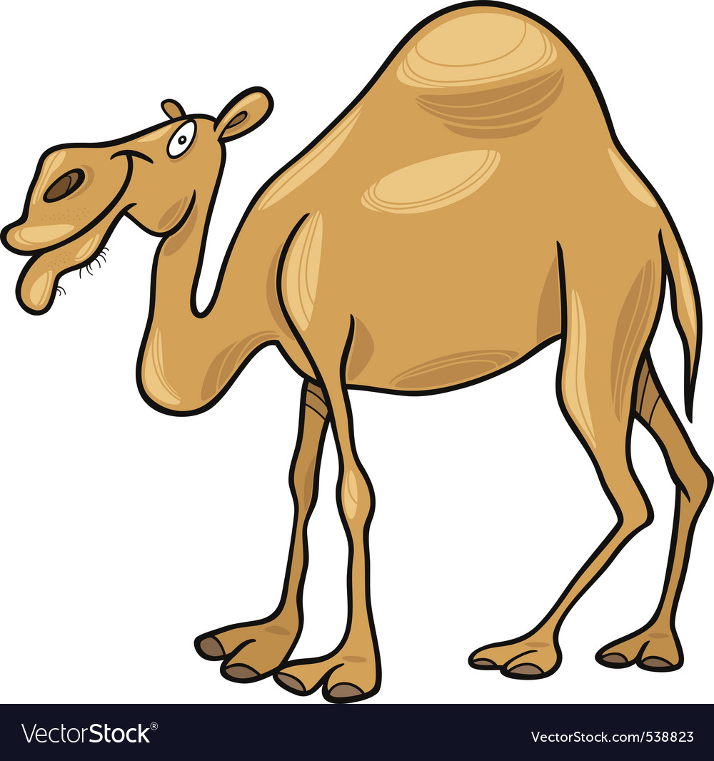 Cartoon illustration of dromedary camel Royalty Free Vector