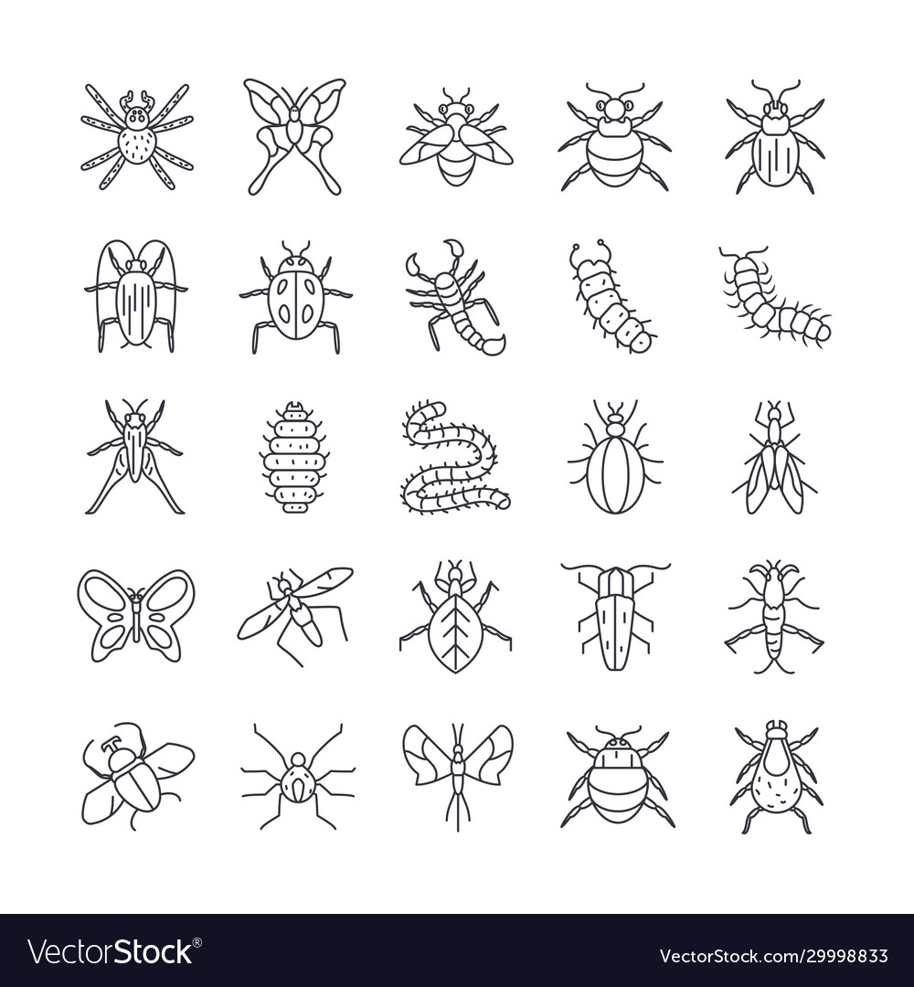 Ant and insect icon set line detail style