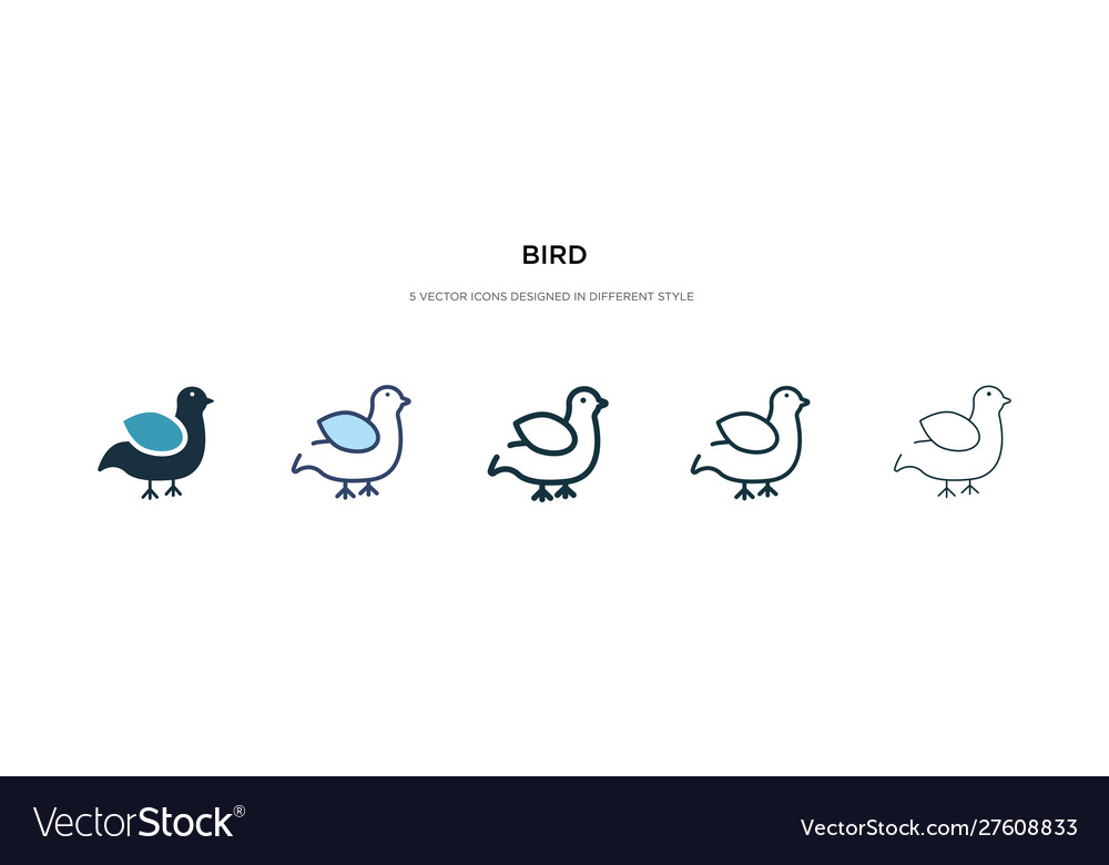 Bird icon in different style two colored
