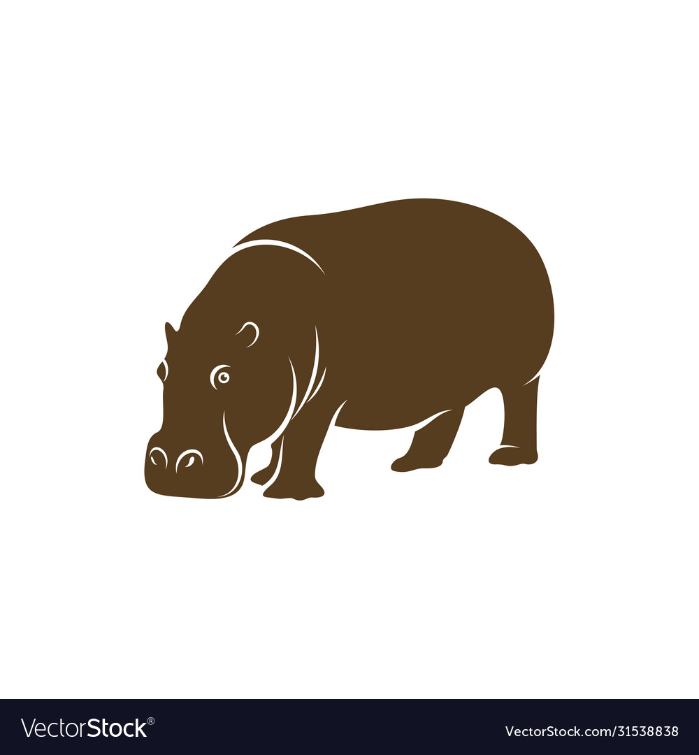 Hippopotamus logo design icon symbol template Vector Image