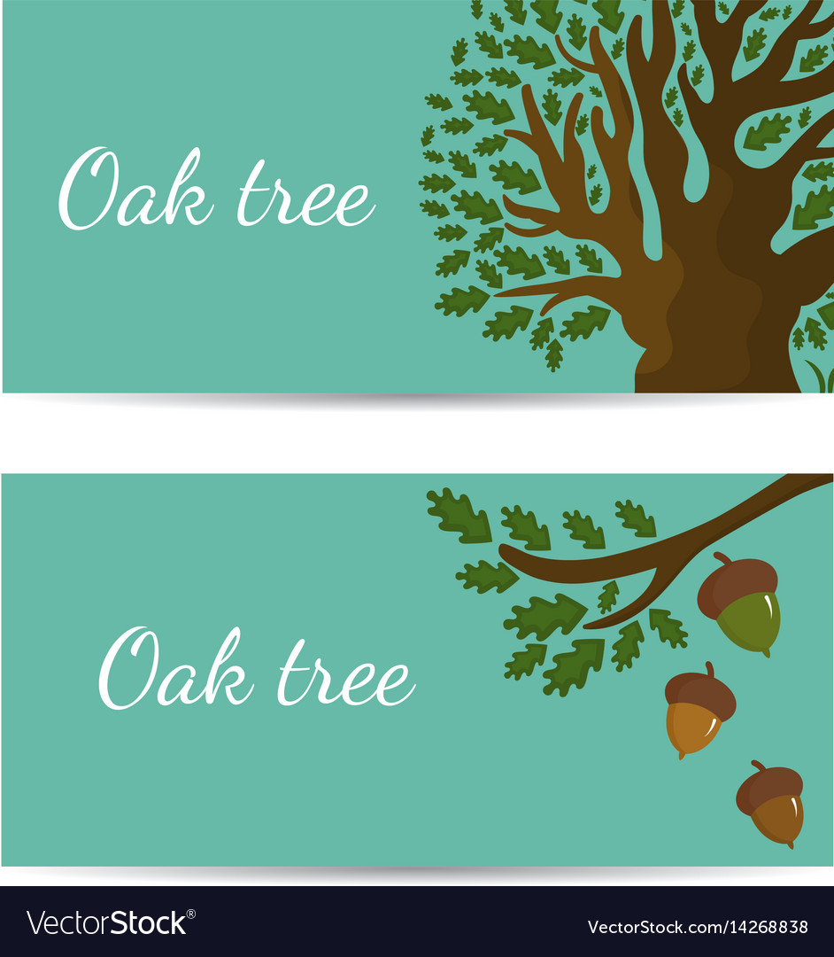 Set Of Banners With Oak Tree And Acorns Royalty Free Vector