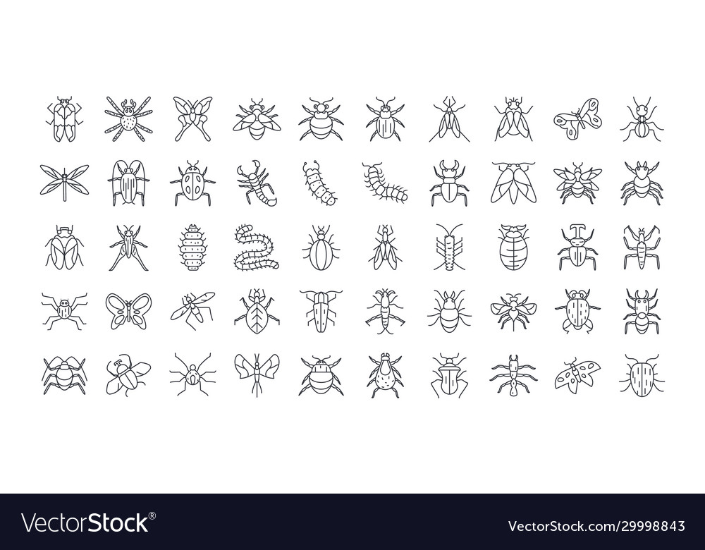 Bugs and insect icon set line detail style