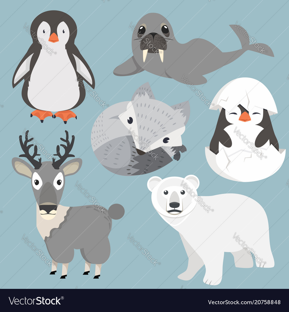 Artic animals cartoon collection set Royalty Free Vector