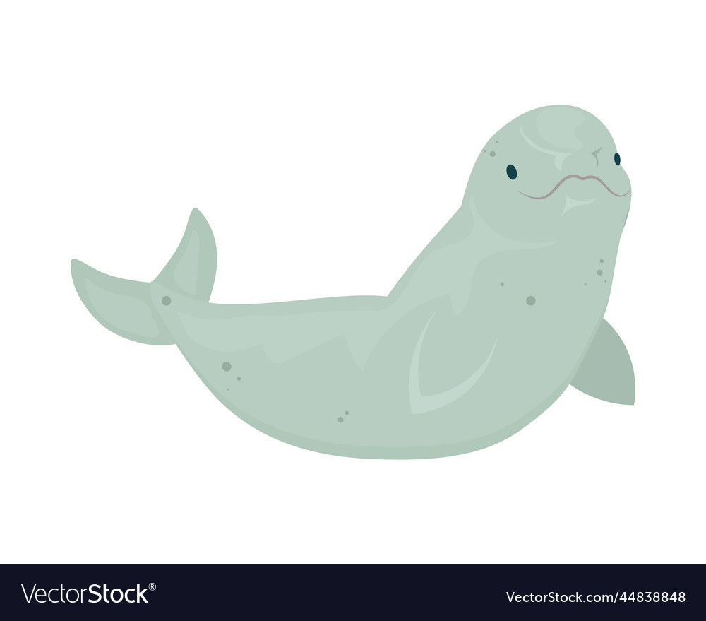 Cute Beluga Whale Design Royalty Free Vector Image