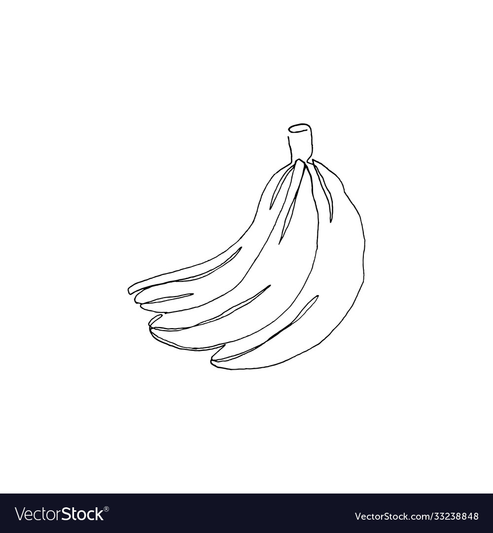 Simple continuous line art design vector image Simple continuous line art design