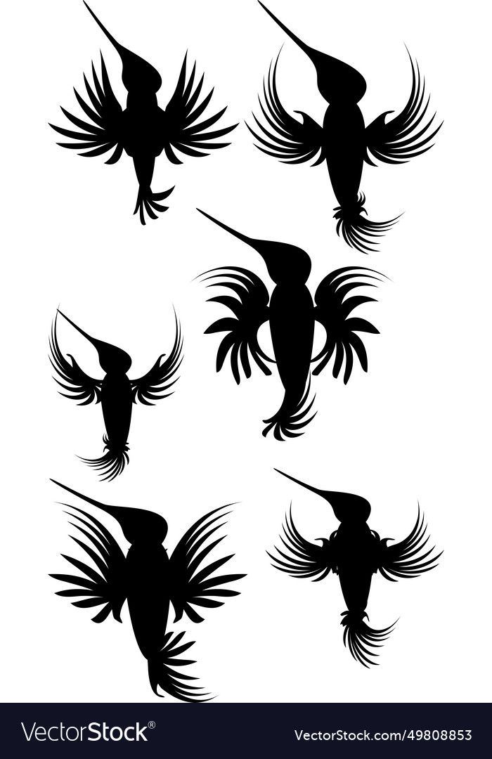 Black hummingbird tattoo ink pack