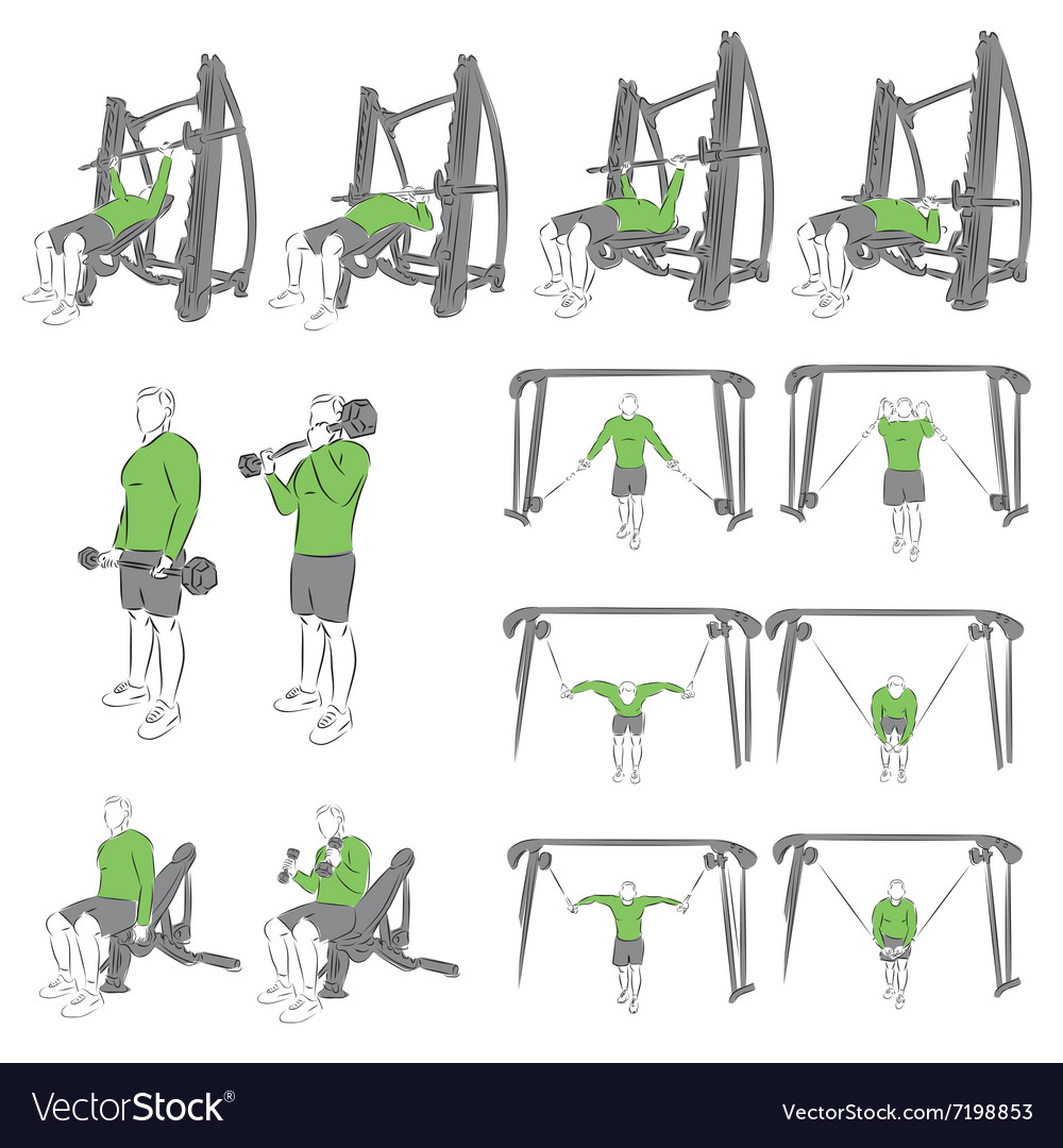Set of systematic bodybuilding exercises